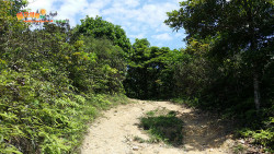 水浪榕北訪鯽魚 A9