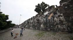 IMG-7173-60-1397618999