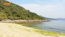 屋頭紅樹出海下 B5