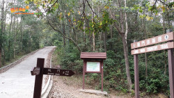 川龍尋蝶到城門 A11