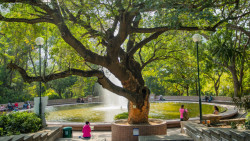 九龍公園