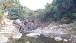 水浪榕北訪鯽魚 A9