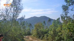 北潭穿林出大網 A13