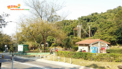水浪榕北訪鯽魚 A9