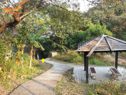 元荃古道石龍拱 A6