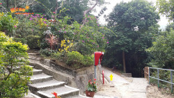 金督馳馬到大潭 A1