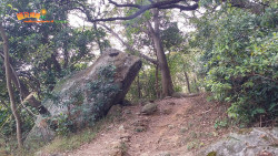 川龍尋蝶到城門 A11