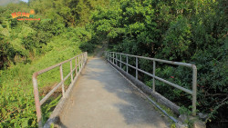北潭穿林出大網 A13