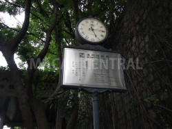 IMG-7144-46-1397618995