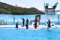 野柳海洋世界