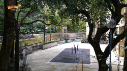金督馳馬到大潭 A1