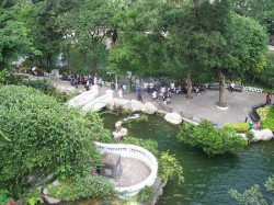 inside-garden