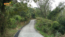 川龍尋蝶到城門 A11