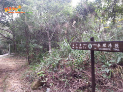 打瀉油坳出涌口 A7