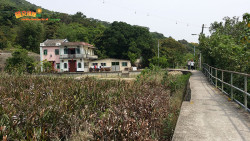 涌經沙螺出大澳 A10