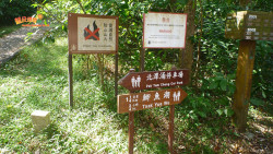 北潭穿林出大網 A13