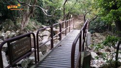 川龍尋蝶到城門 A11