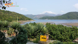 屋頭紅樹出海下 B5