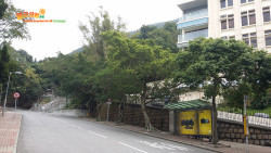金督馳馬到大潭 A1