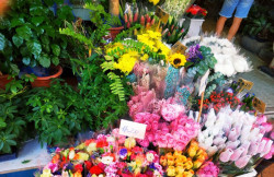 1A0khk133ws5mt0chED37