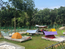 Trees Farm • 森林童話村