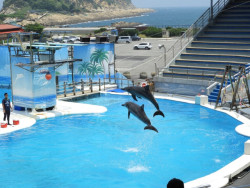 野柳海洋世界