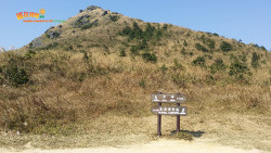 打瀉油坳出涌口 A7