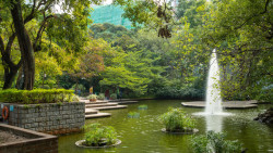 九龍公園