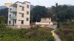 老龍田上尋丹竹 A8