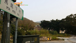 老龍田上尋丹竹 A8