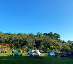 Trees Farm • 森林童話村
