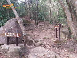 打瀉油坳出涌口 A7
