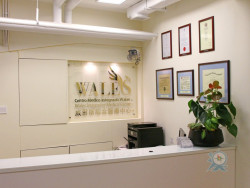 威爾斯綜合醫療中心(II)  Wales Integrative Medical Center(II)/Centro Médico Integrado Wales(II)