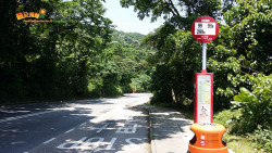 水浪榕北訪鯽魚 A9