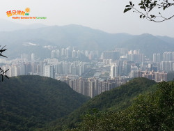 打瀉油坳出涌口 A7